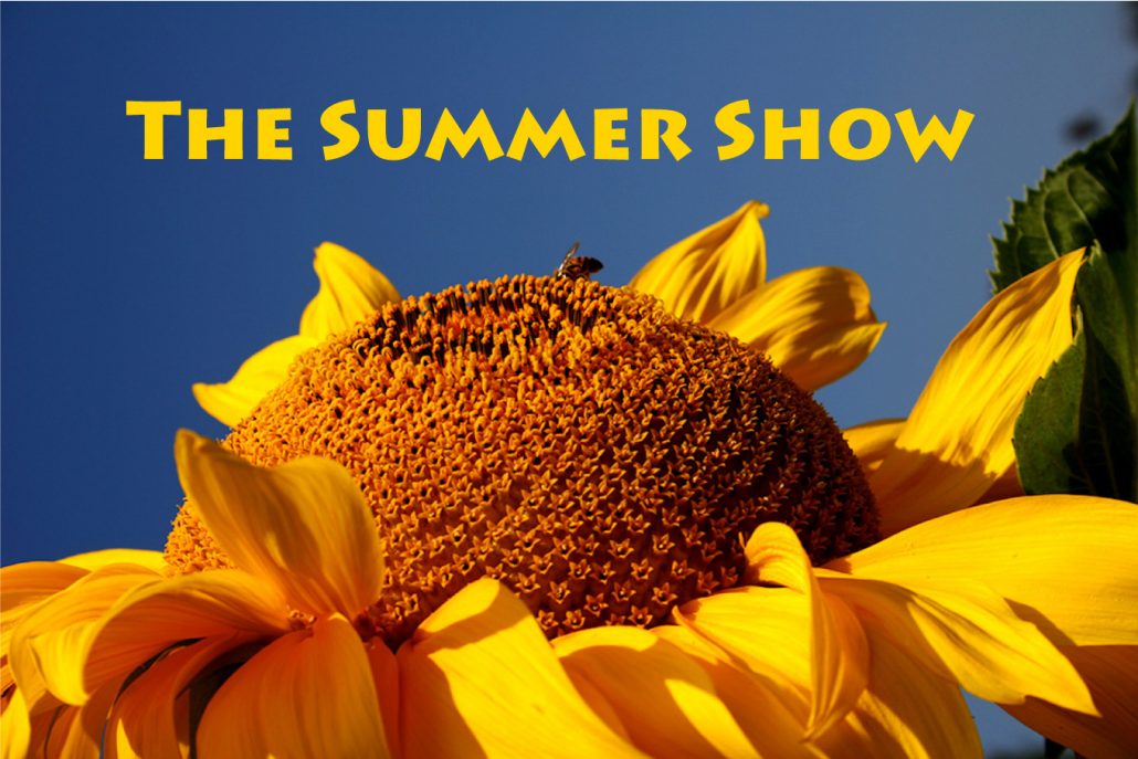 Summer-Show-1300