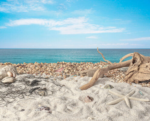 Congreve_000001_053033_253168_11604