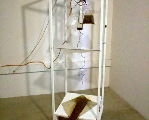 Fewell_000037_107574_911869_11604