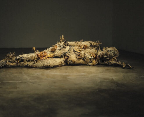 Geruso_000020_104076_907244_11604