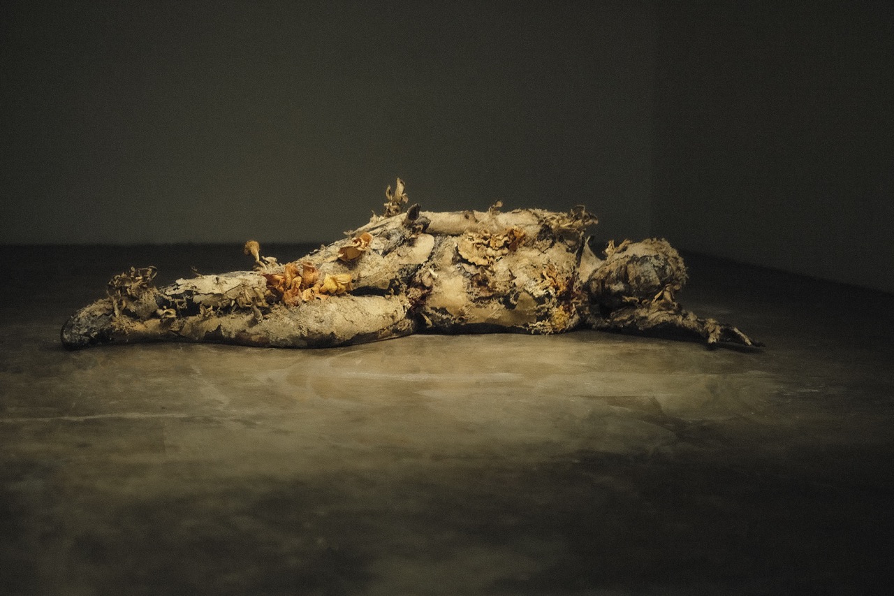 Geruso_000020_104076_907244_11604