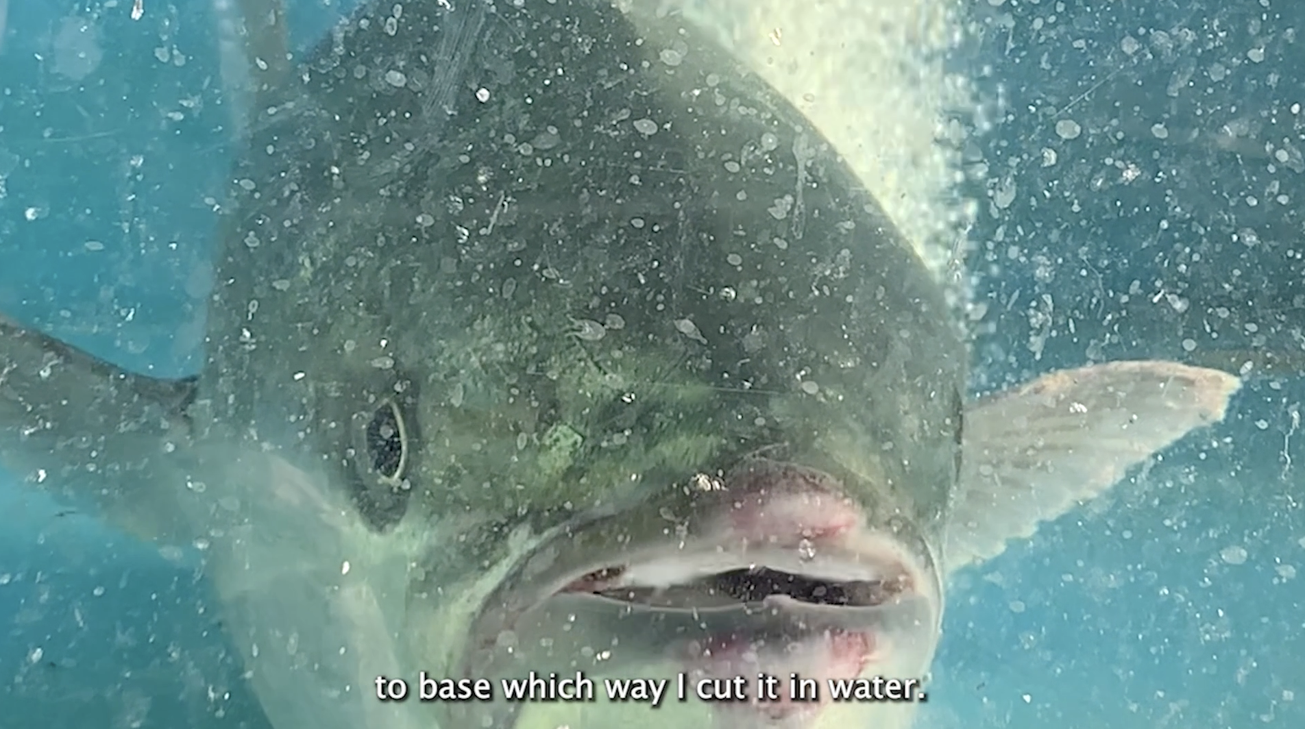 Screenshot 2023-06-14 at 3.07.53 PM