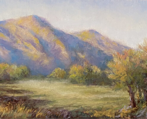 Angelides_000003_177084_986448_12002