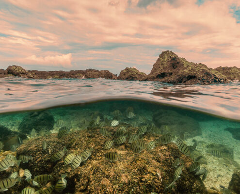 H2Wu_000029_171570_981573_12002