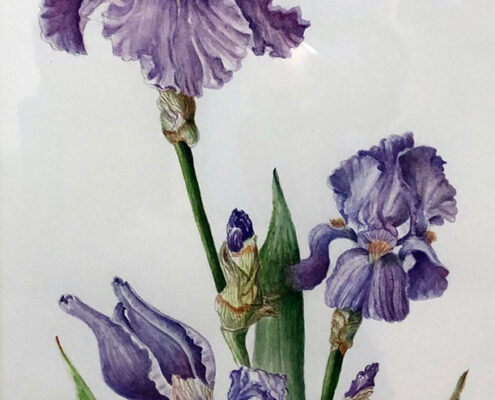 Kuuskmae_000042_175649_985140_12002