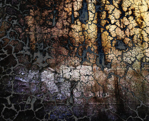 Reeves_000052_173895_086073_12002