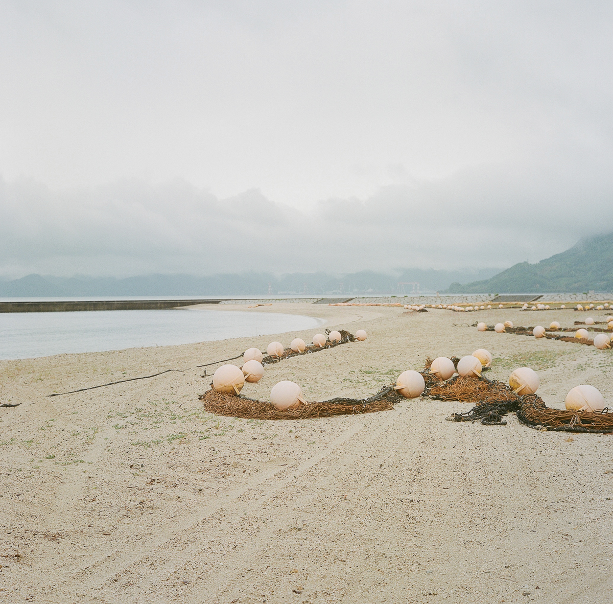 Chaussee_000044_329632_141978_12439