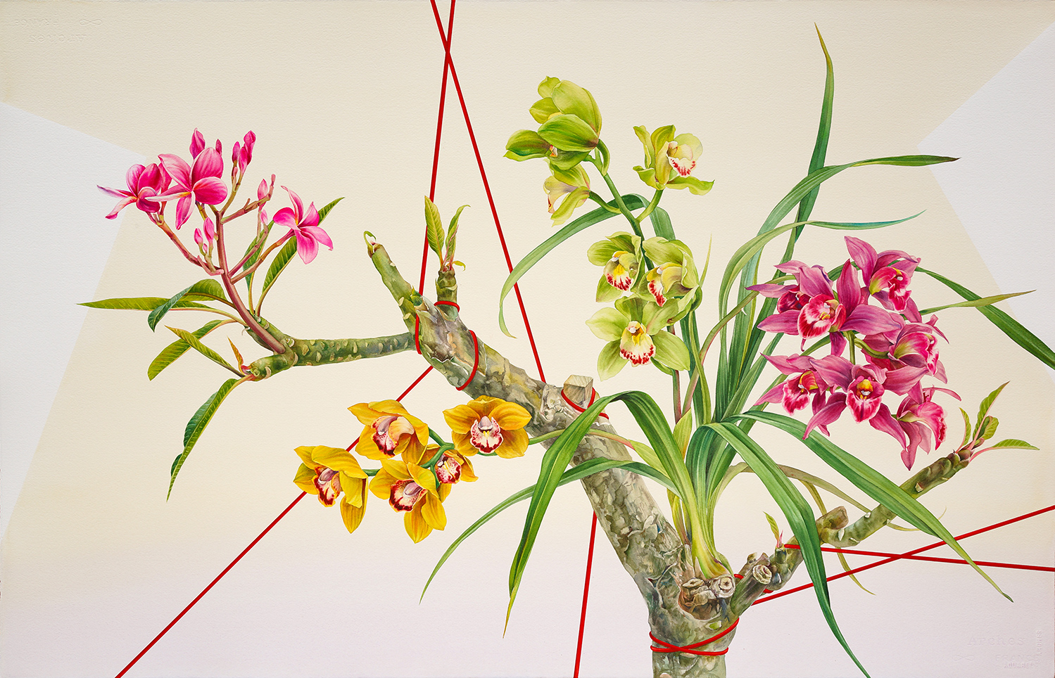 Greenhouse-Laboratory-(Cymbidium)_26x40_watercolor_2016