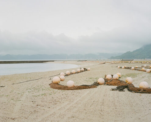 w-Chaussee_000007_329632_141978_12439