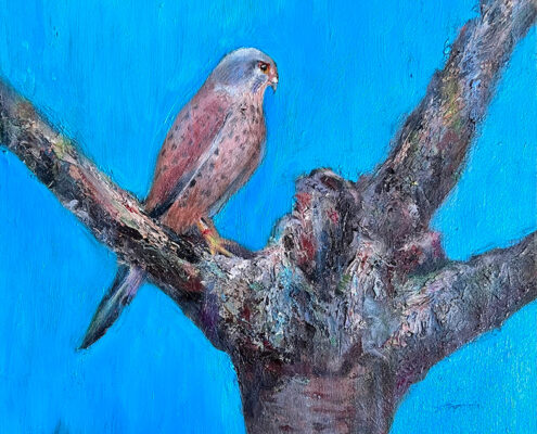 Cinthia Joyce, Kestrel, 2022, Oil on canvas, 23 x 19 in, $900