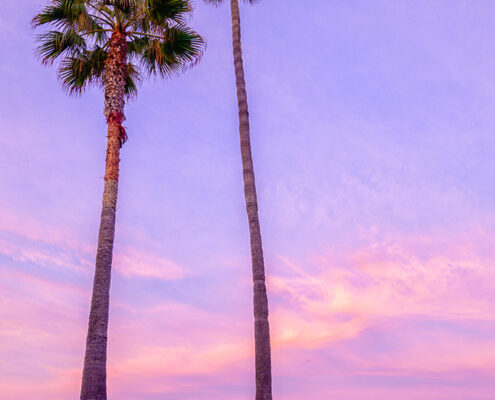 Pink Morning, 2026, Digital archival print on luster paper, 20 x 24 in